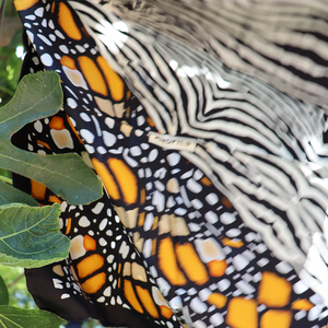 MONARCH WILD